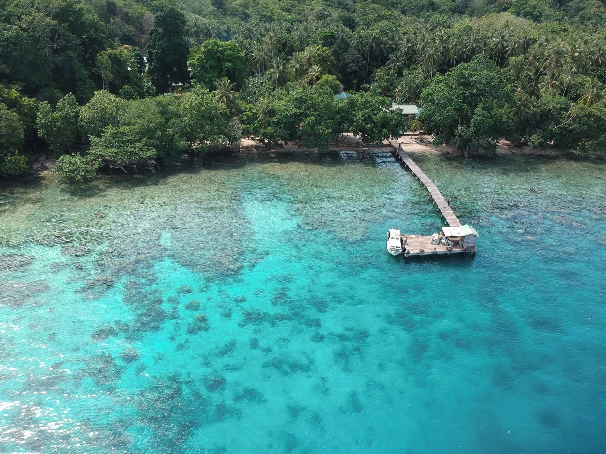 A clear turquoise sea with a wooden dock extending into it, surrounded by dense green foliage.
