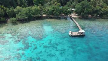 A clear turquoise sea with a wooden dock extending into it, surrounded by dense green foliage.