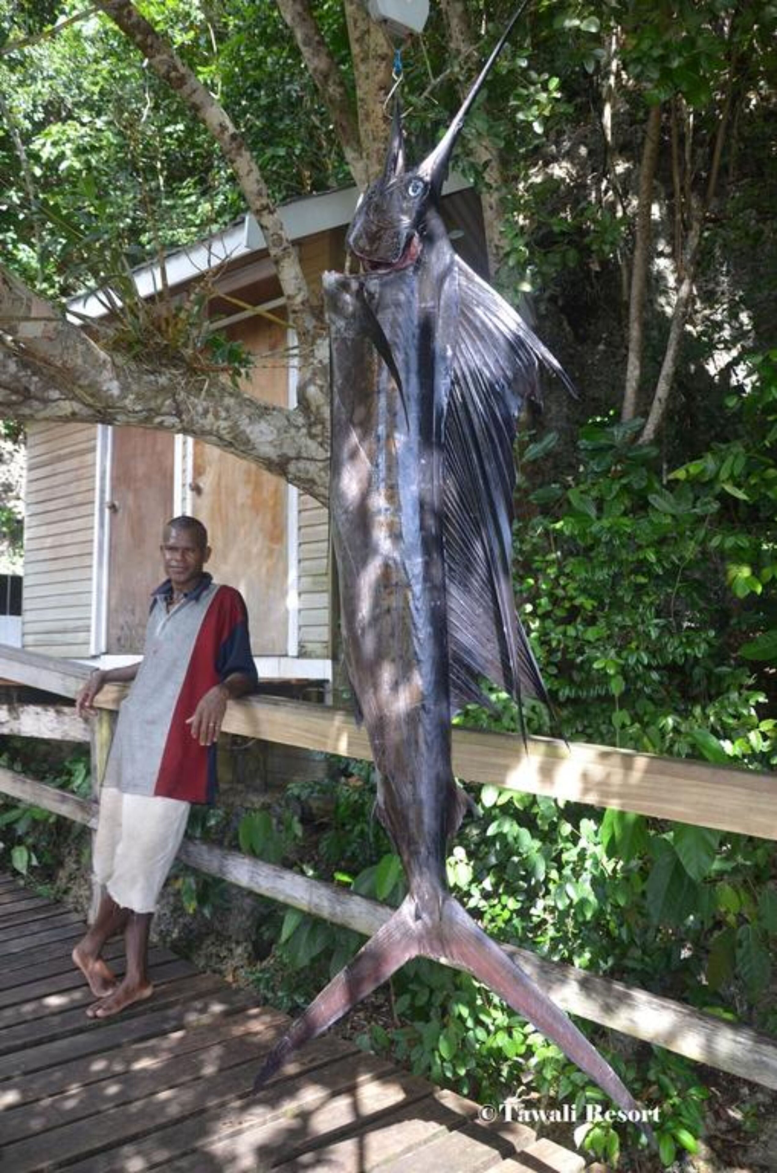 A man standing next to a large fish on a wooden deck.