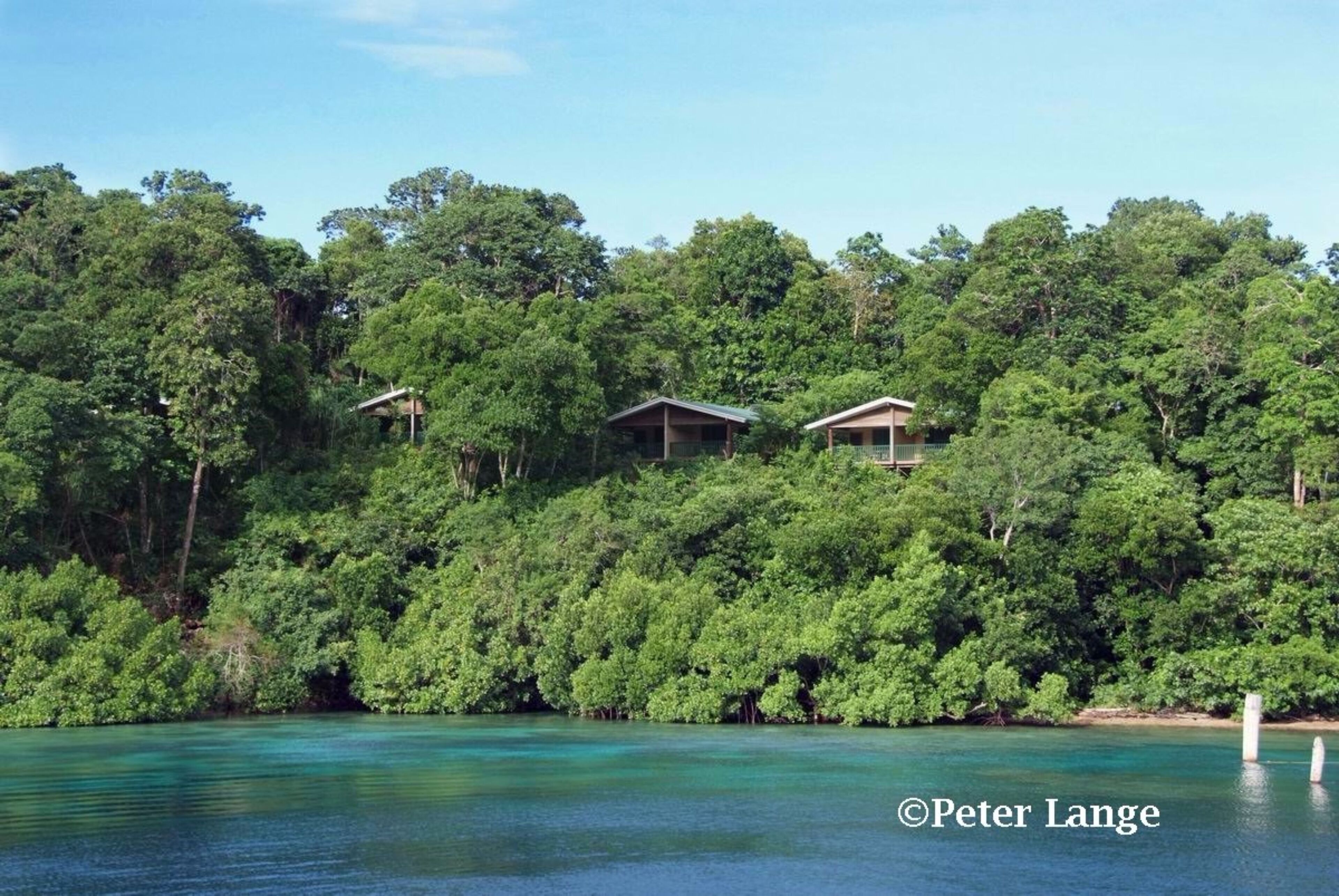 A coastal area with three small cabins surrounded by dense forest.