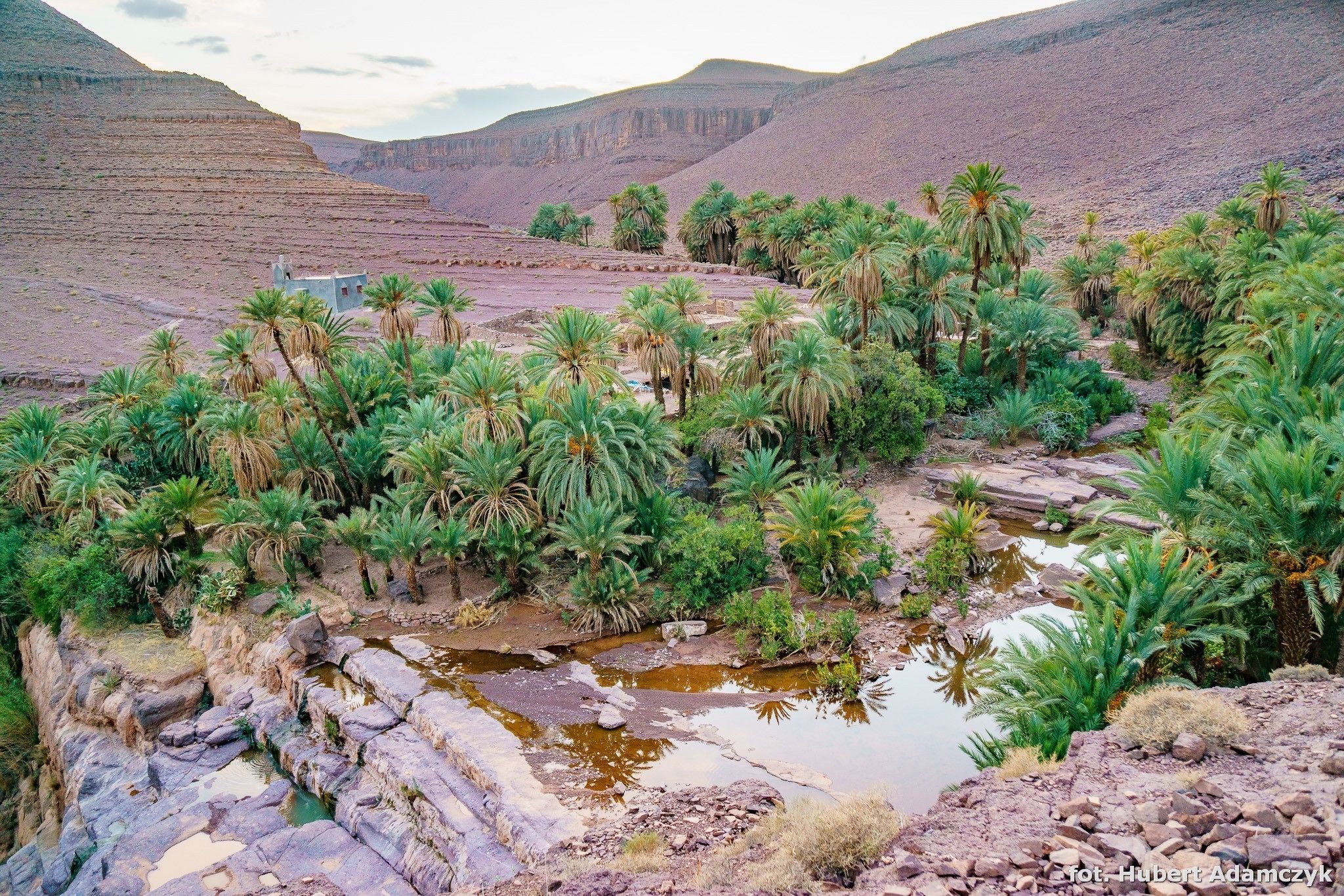 A desert landscape with palm trees and a rocky stream.