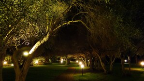 Cena noturna de um parque com um caminho pavimentado, árvores iluminadas e postes de luz.