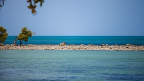 A beach with clear blue water, a sandy shore, and two trees. - Hello Backpacker Samui Hostel (Koh Samui)