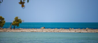 Hello Backpacker Samui Hostel