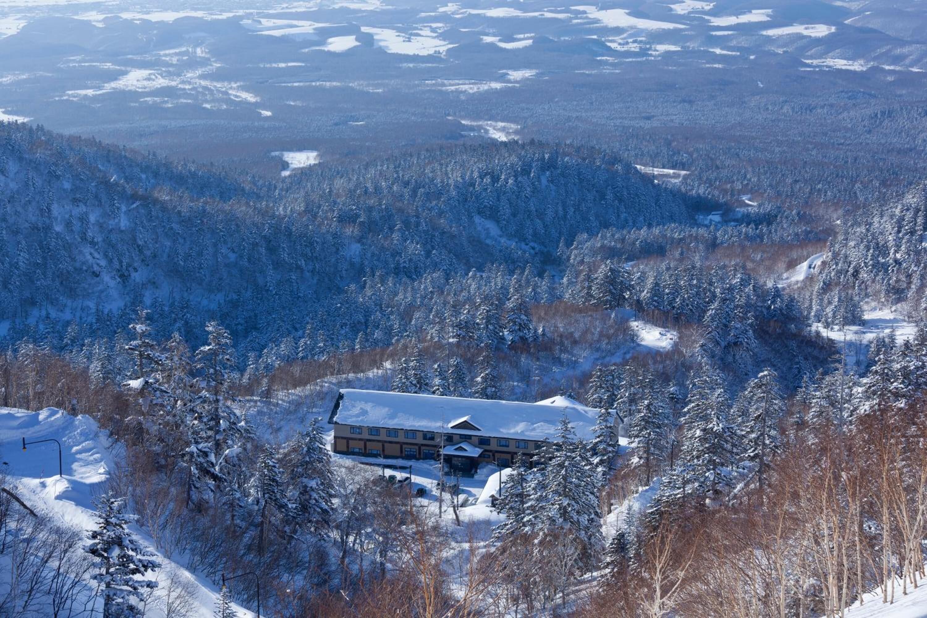A lodge in a snowy forest with a large building surrounded by trees.