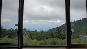 Vista a través de una ventana que muestra un paisaje boscoso y un cielo nublado.