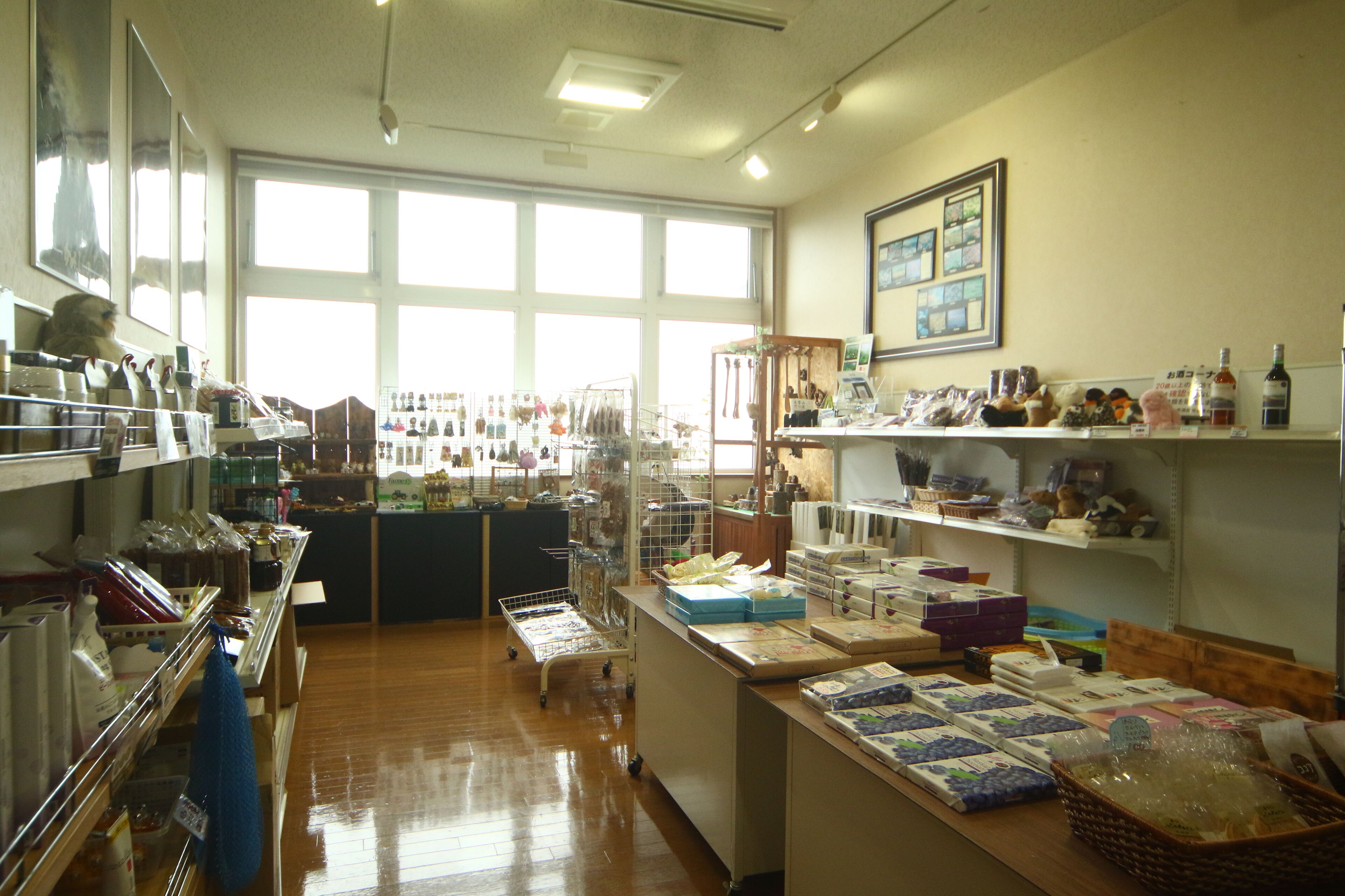 A well-lit kitchen with wooden floors, various kitchen utensils, and appliances on shelves.