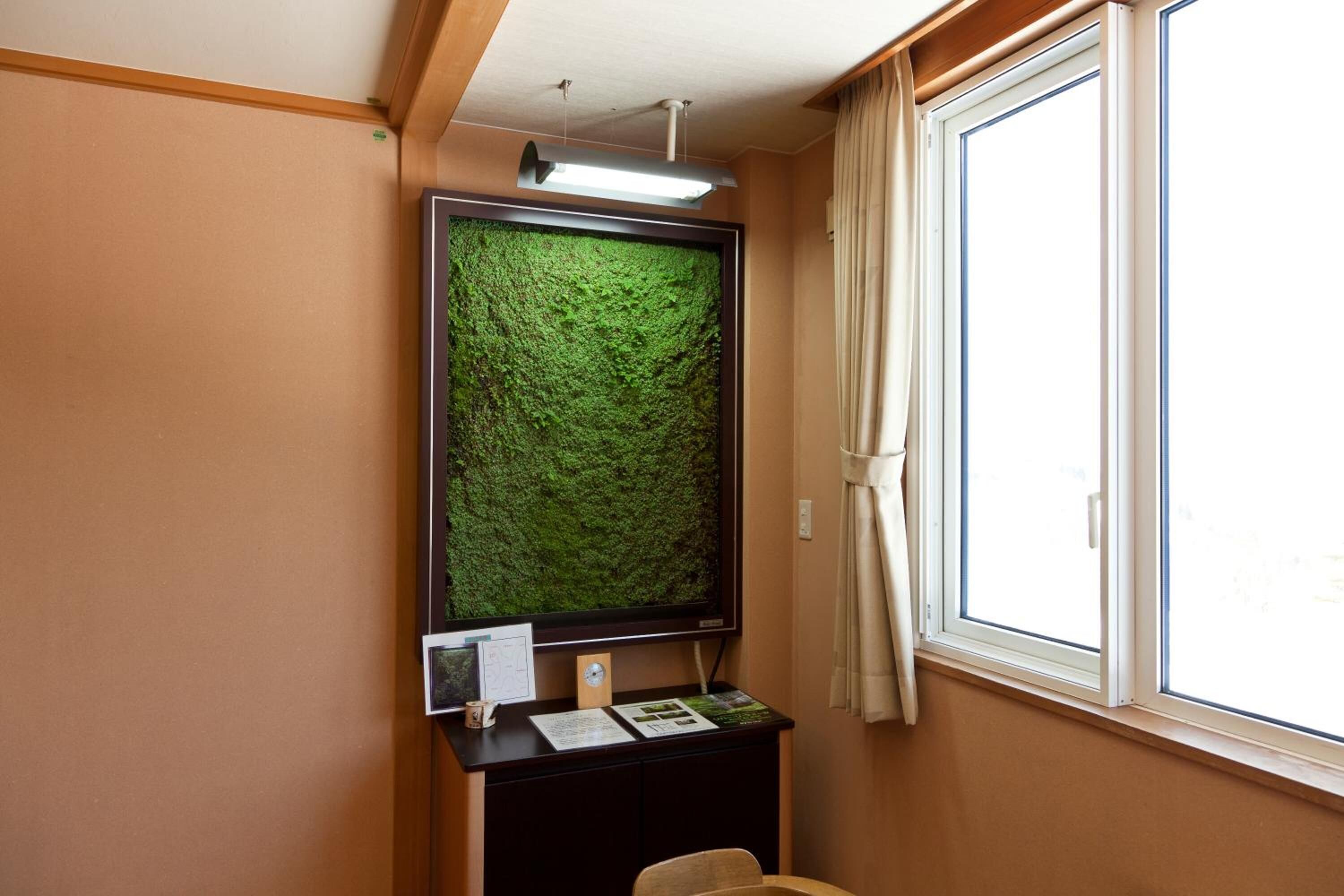 Ein Zimmer mit Schreibtisch, einer Wand aus Moos, einem Fenster mit Vorhängen und einer Deckenleuchte.