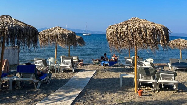 A beach with thatched umbrellas and lounge chairs, a clear blue sky, and a calm sea. - Theodorou Beach (Kos)