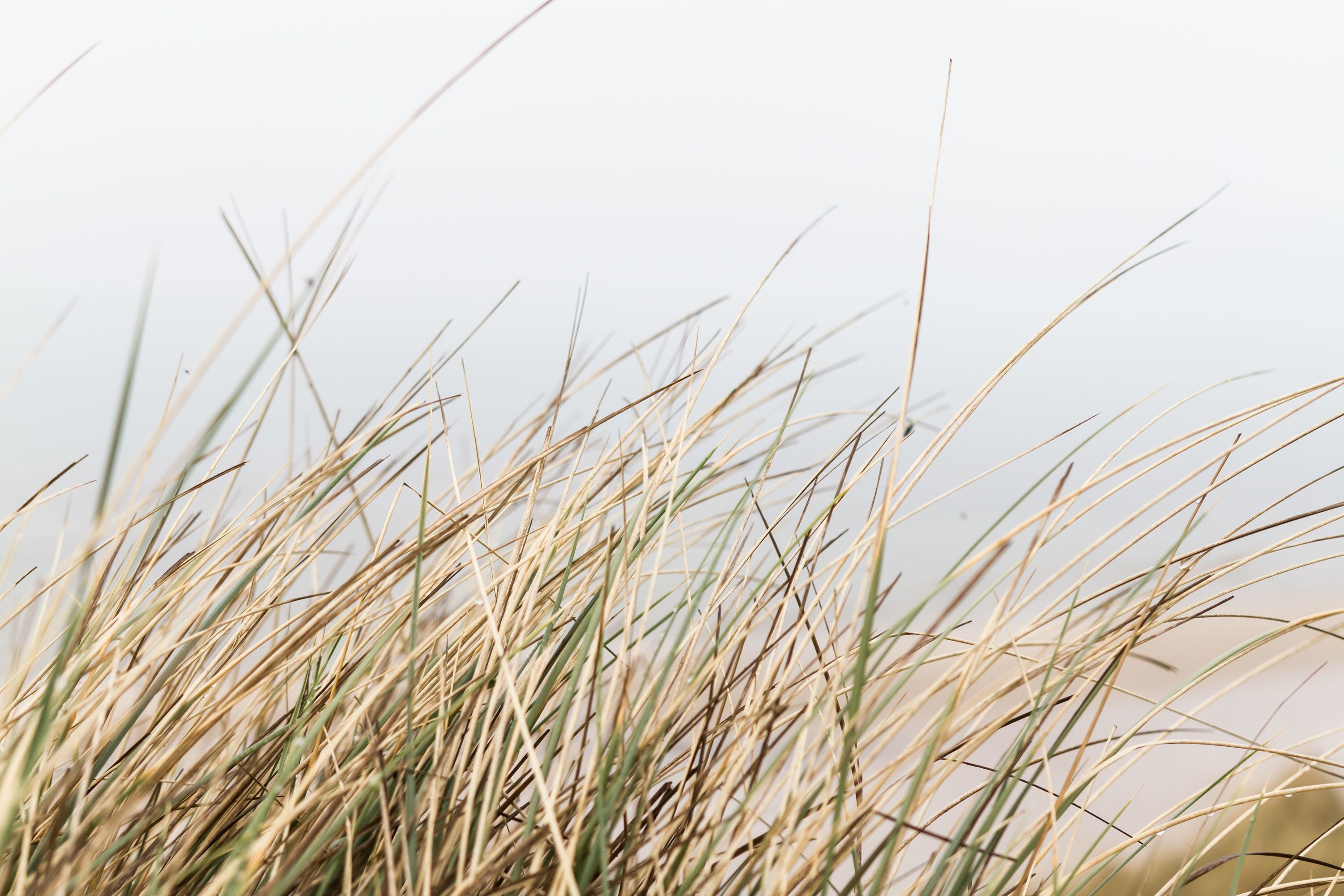 children’s play area – outdoor