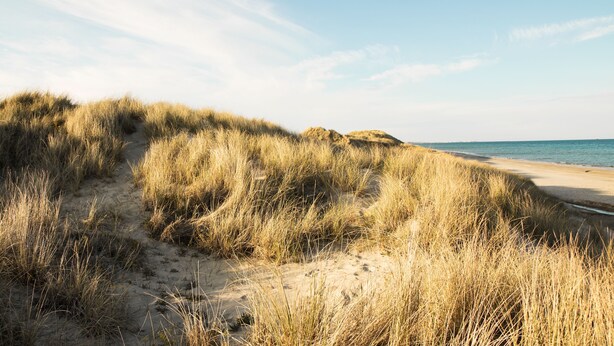 En sandstrand med klitter og en klar himmel.