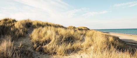 Plage à proximité