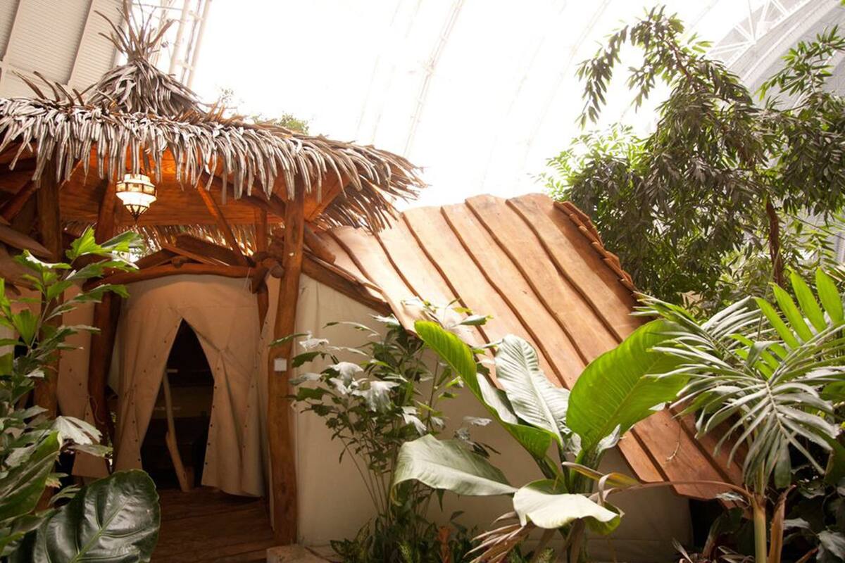 Un espace intérieur à thème tropical, doté d’une structure à toit de chaume, de bancs en bois et d’une végétation luxuriante.