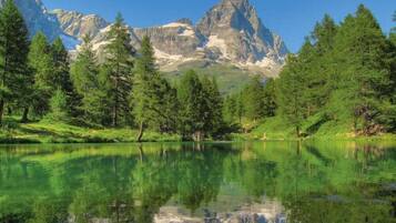 Un lago tranquillo con i riflessi di alberi e montagne sullo sfondo.
