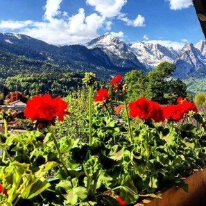 A garden with red flowers and a mountain view. - G ästehaus Hohe Tannen (Garmisch-Partenkirchen)
