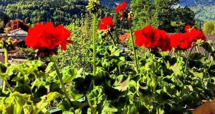 Gästehaus Hohe Tannen