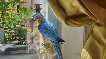 Een vogelkooi met een blauwe papegaai en een plant.