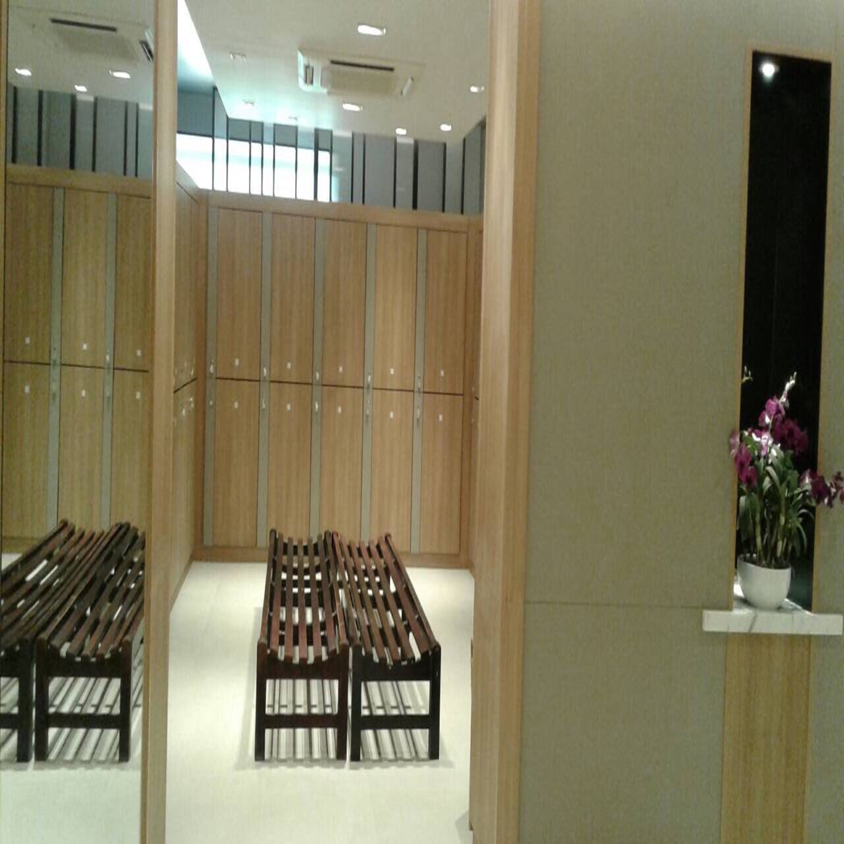 Une chambre d’hôtel avec des casiers en bois, un banc et une plante en pot.