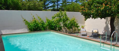 Una piscina rectangular con agua azul cristalina, rodeada por un muro blanco y una fila de árboles.