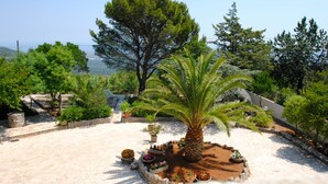 A landscaped garden with a palm tree, potted plants, and a stone pathway. - B&B Puglia Vista Mare (Monopoli)