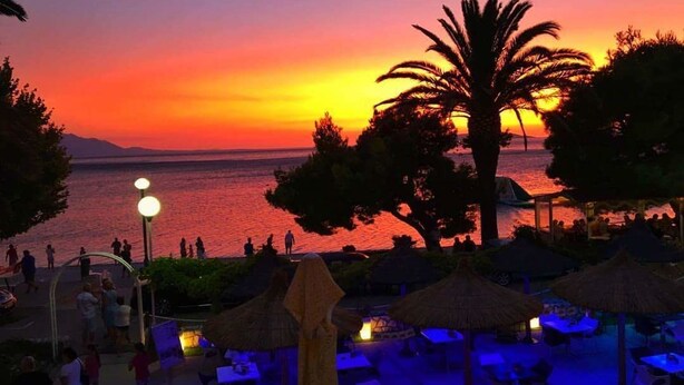 A sunset view with a beach and palm trees.