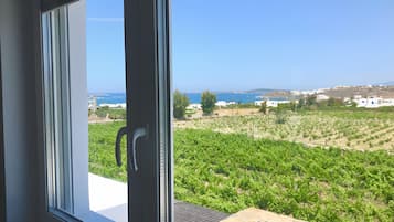 Deluxe Studio | View from room