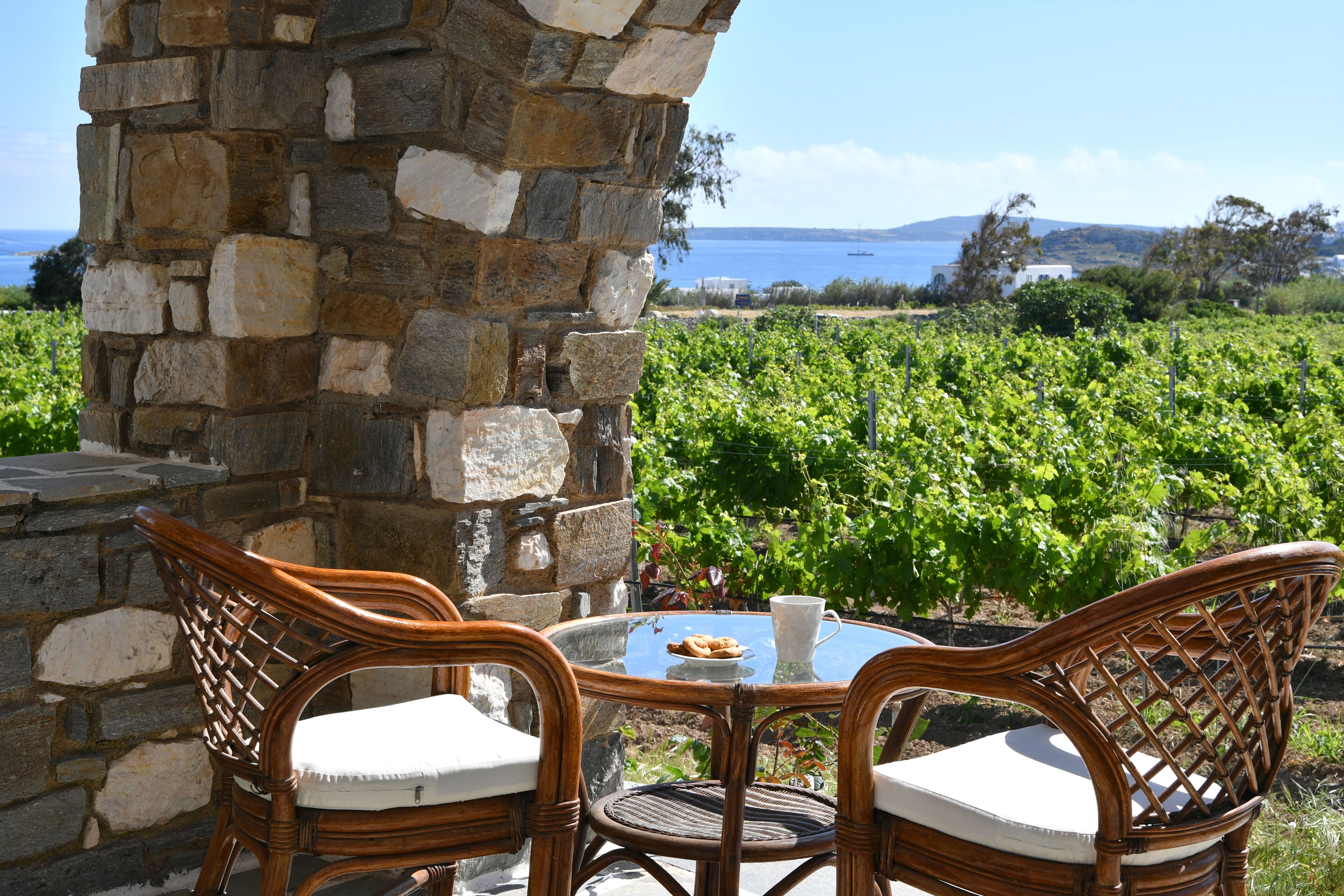 Vista desde la habitación