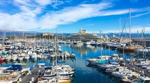 Un puerto deportivo lleno de diversas embarcaciones y yates, con un gran crucero amarrado al fondo.