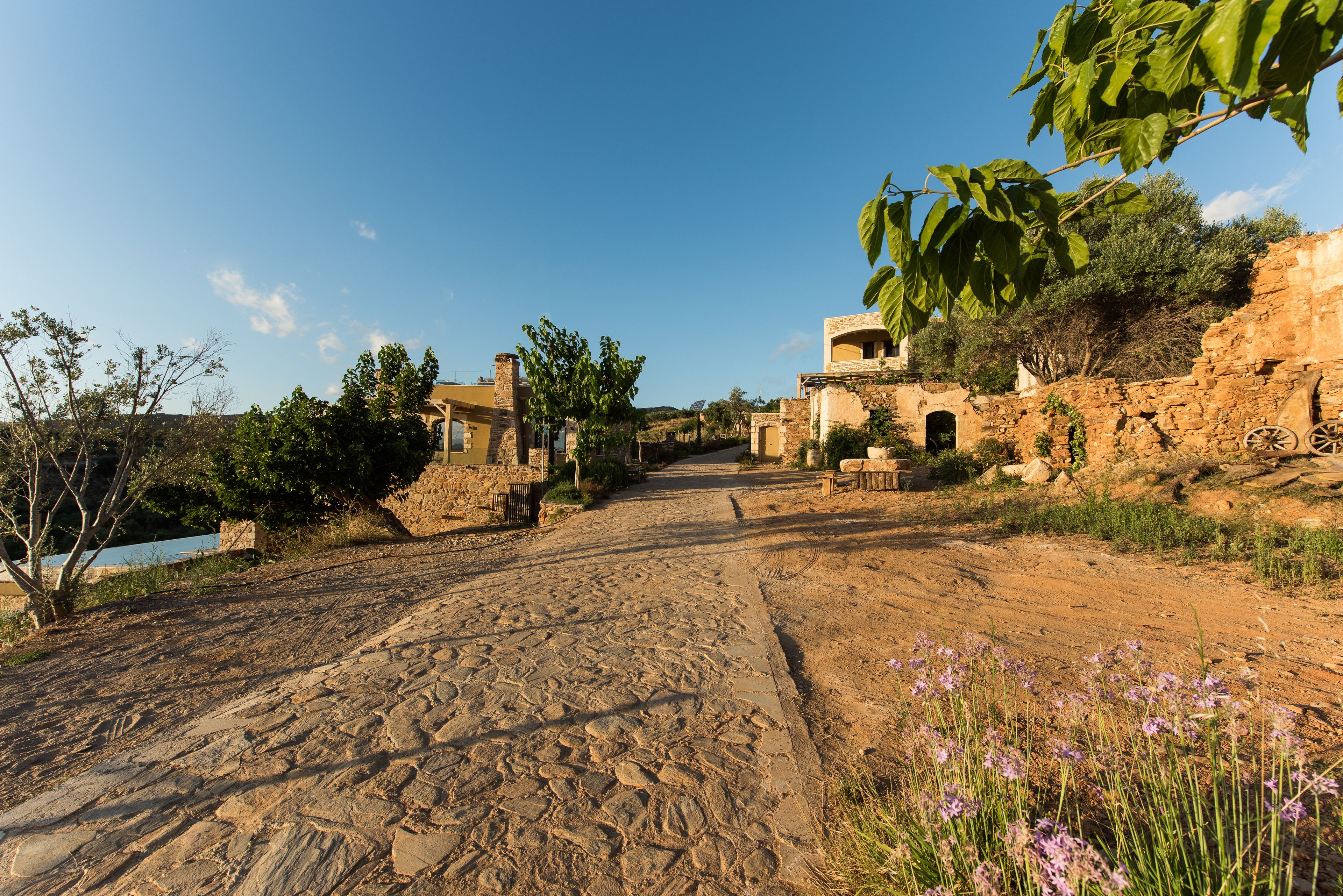 An ancient stone pathway leading to a rustic building with a stone wall and a wooden door.