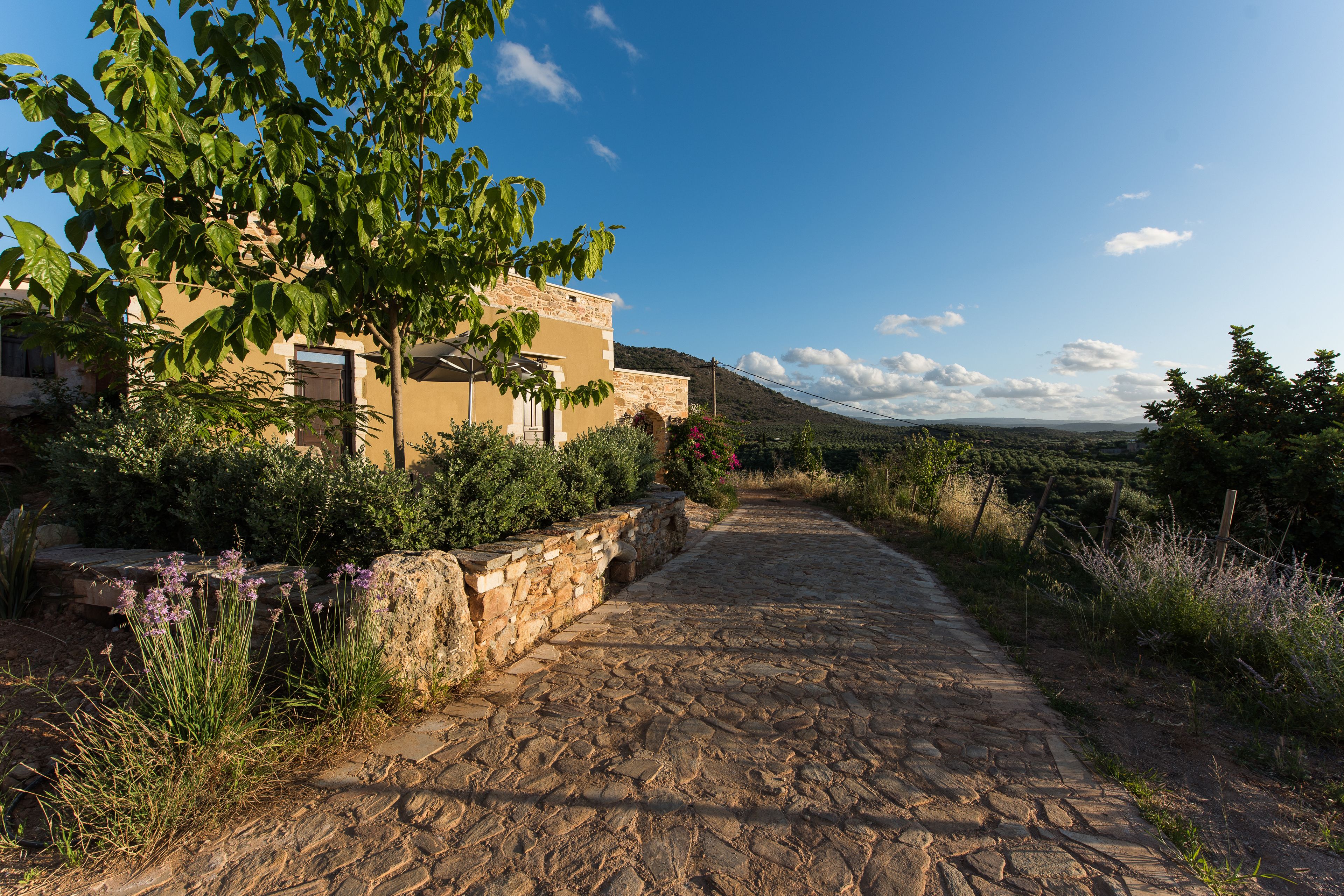 A stone pathway leading to a building with a stone wall and greenery.