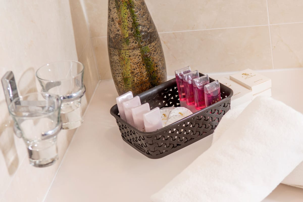 standard double room single use | bathroom amenities | combined shower/bathtub, eco-friendly toiletries, hair dryer, bathrobes