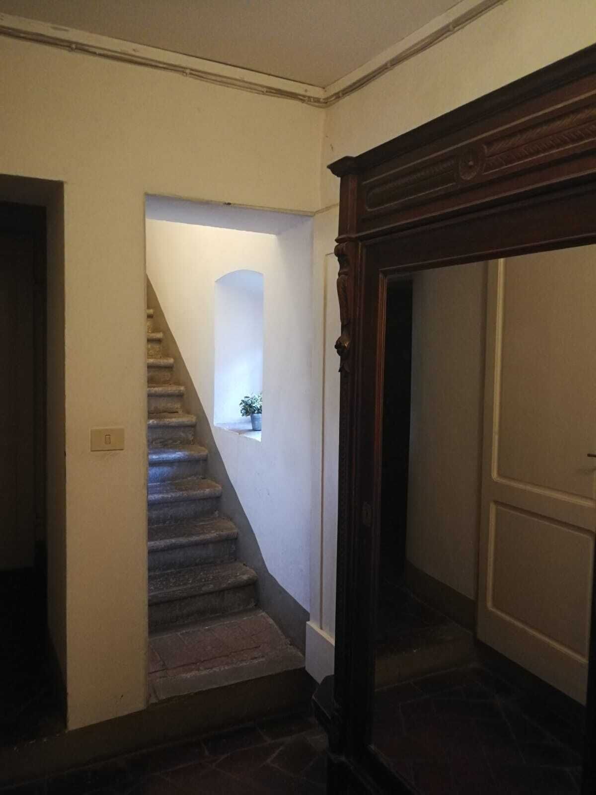 A staircase leading to a landing with a potted plant.
