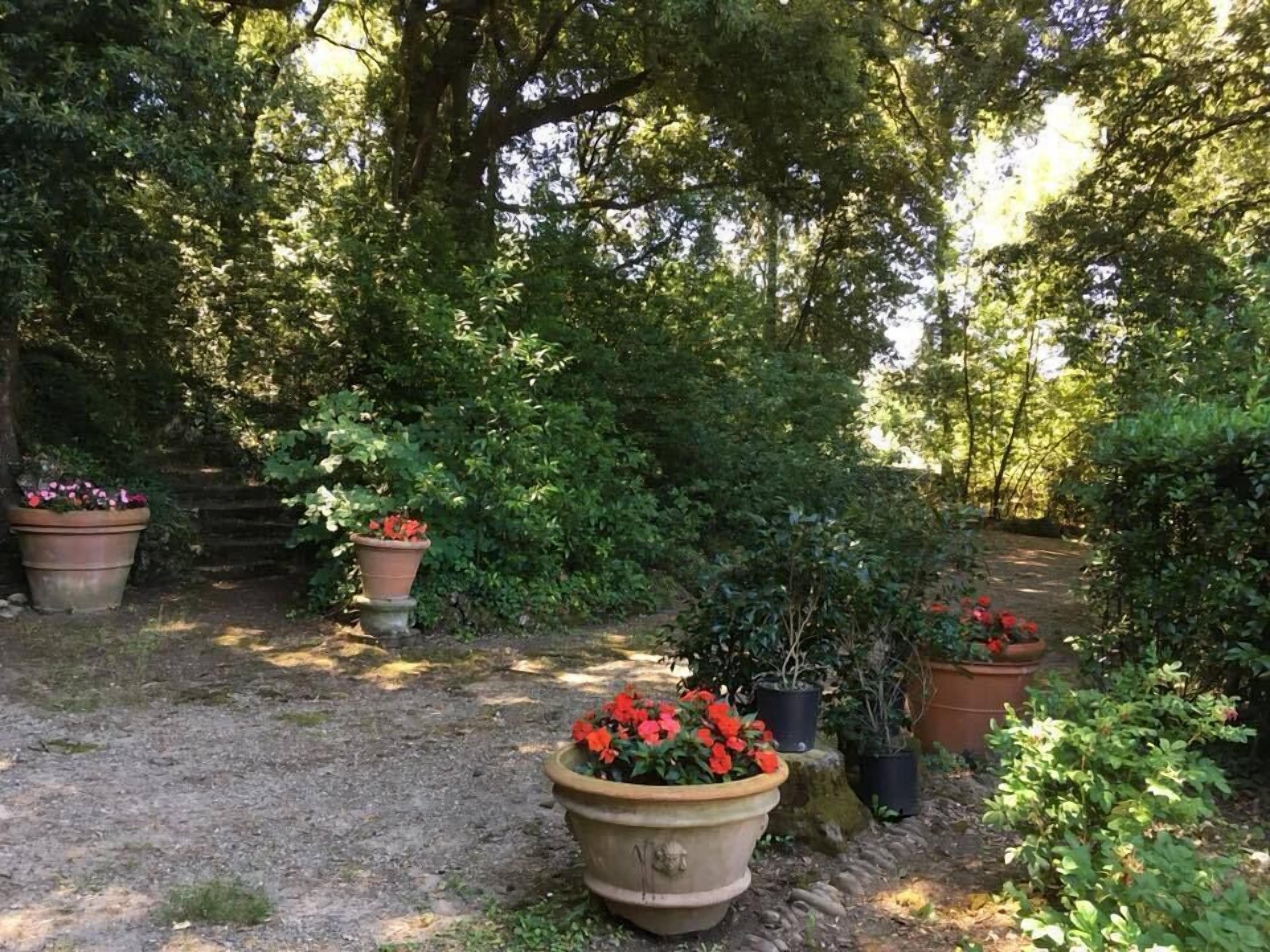Een tuinpad omringd door weelderige begroeiing en plantenpotten met rode bloemen.