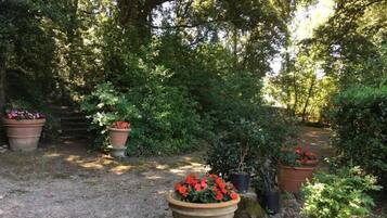 Een tuinpad omringd door weelderige begroeiing en plantenpotten met rode bloemen.