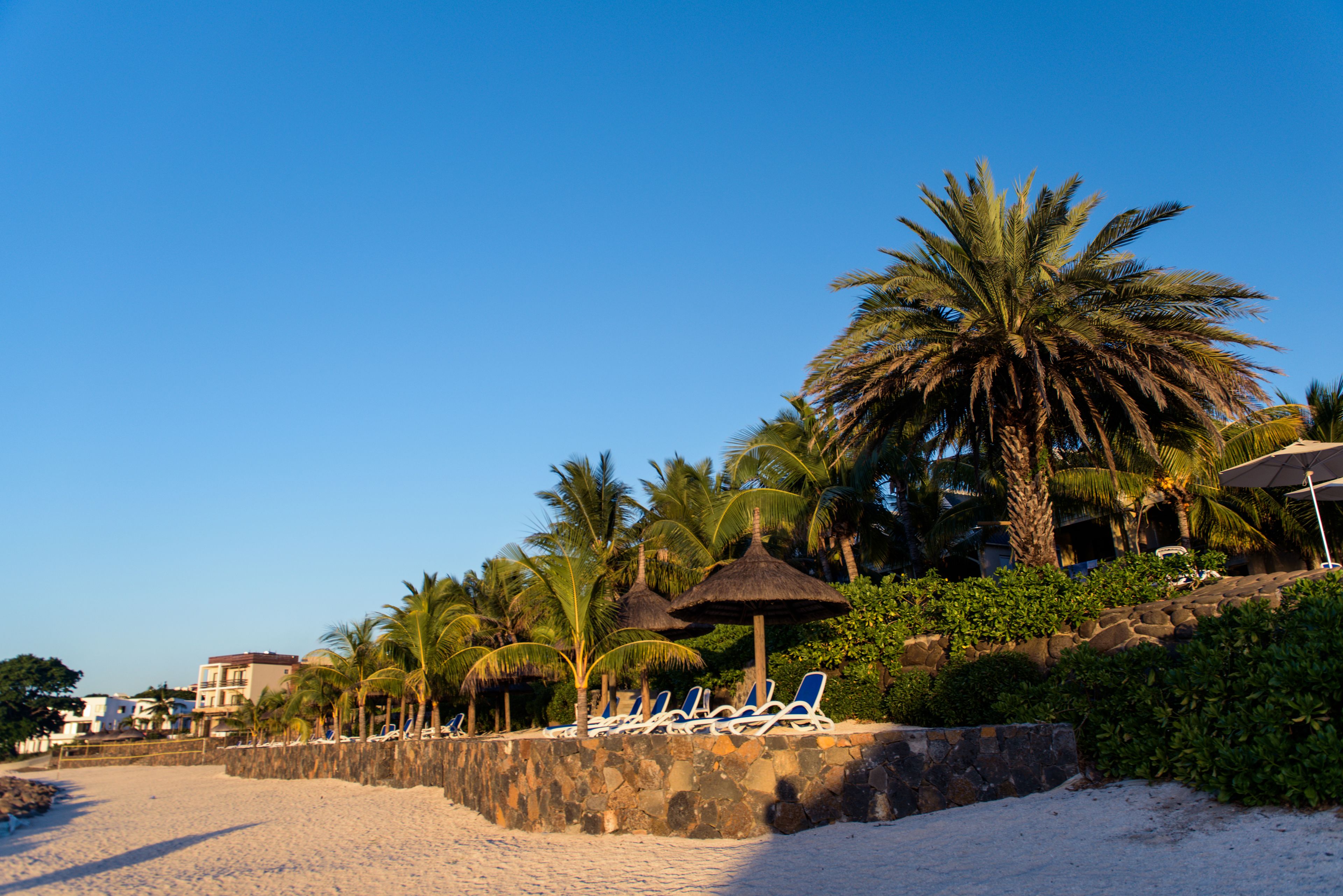 A beach with lounge chairs, palm trees, and a stone wall.
