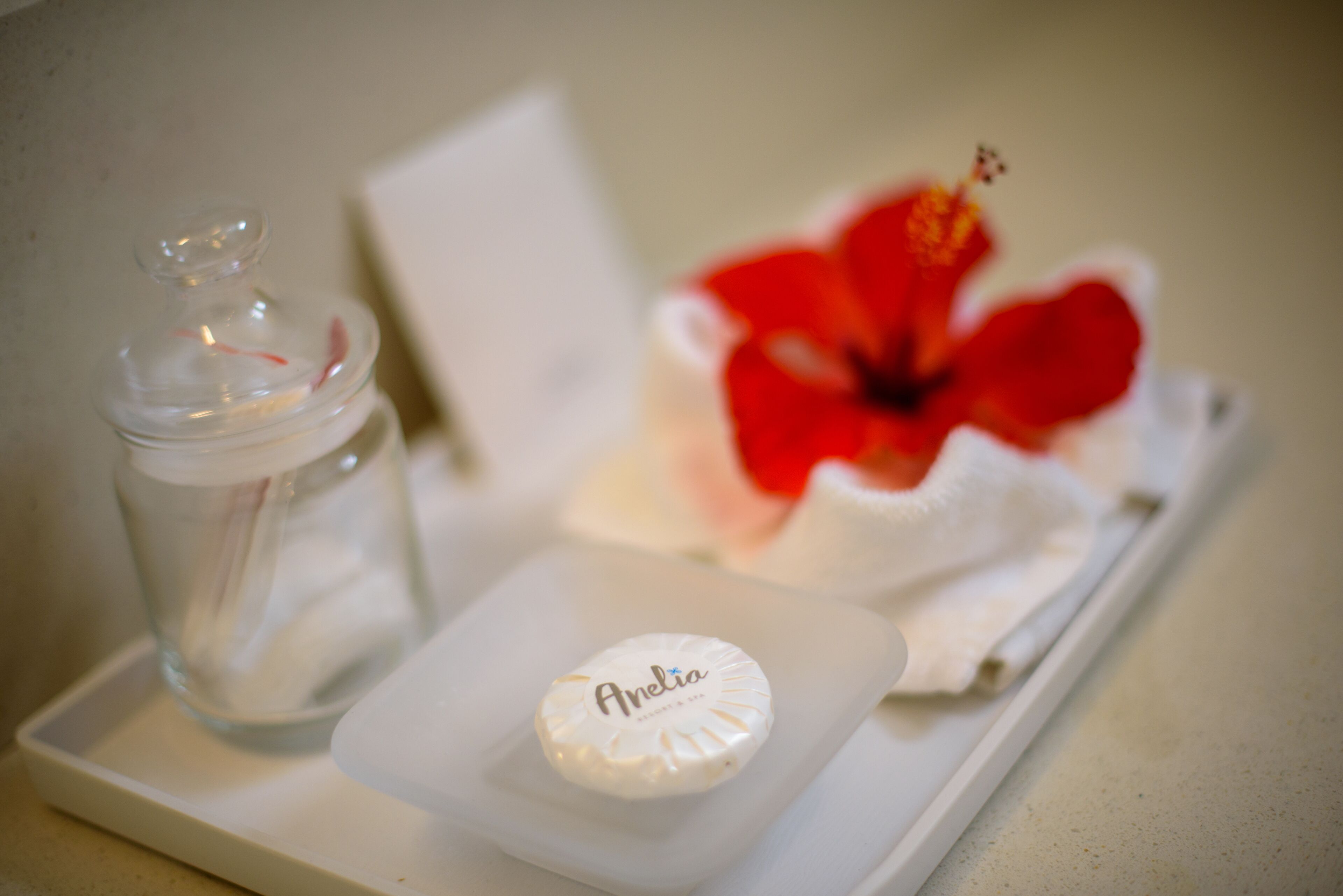 A small white tray with a glass jar, a white bottle with the name "Anelia," and a red hibiscus flower.
