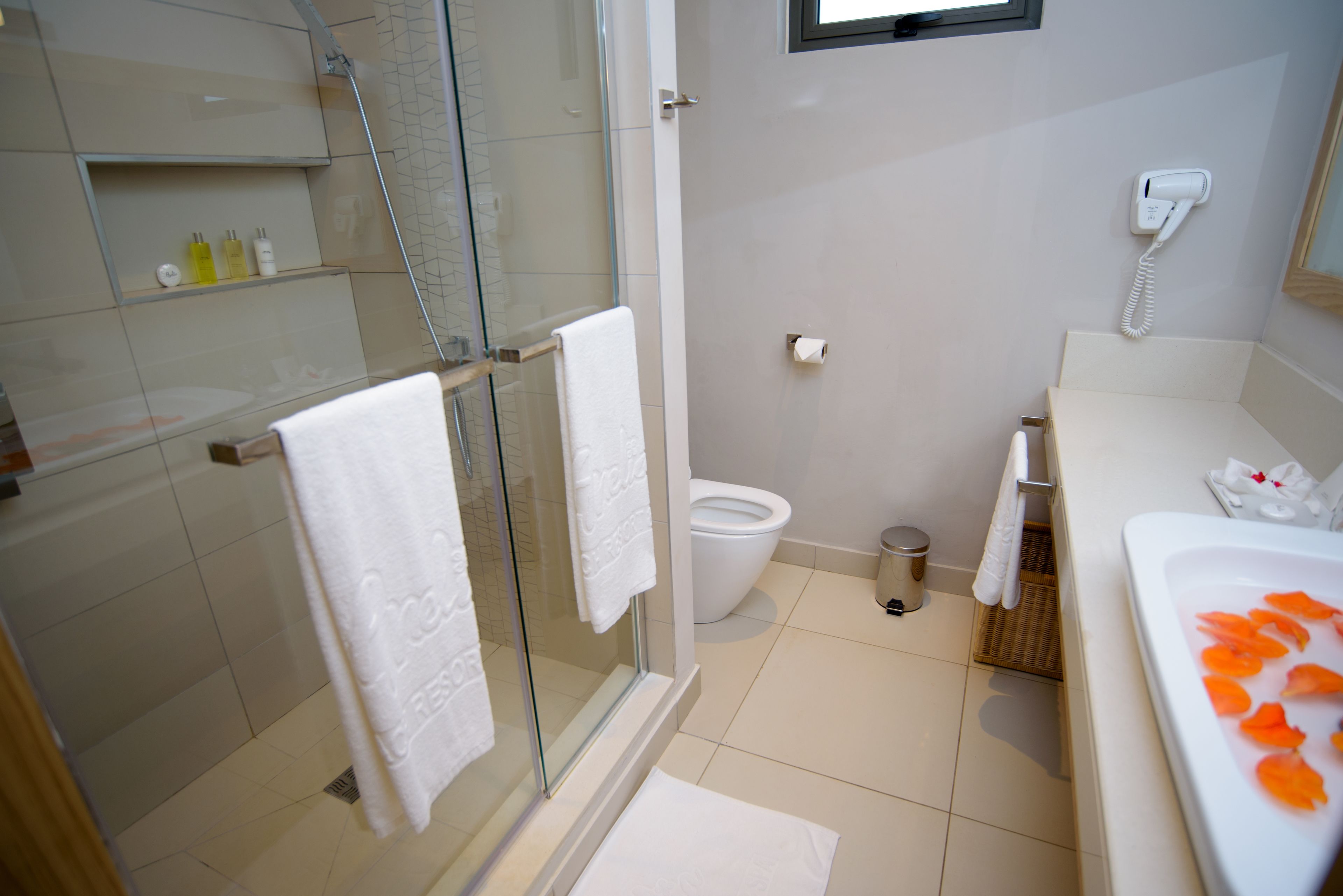 A modern bathroom with a glass shower enclosure, a toilet, and a sink with rose petals.