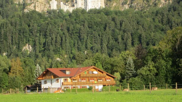 Un grande edificio in legno con tetto rosso, circondato da un campo recintato. Sullo sfondo, si erge una struttura simile a un castello su una collina.