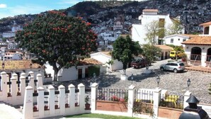 Un barrio residencial con piscina, cercas blancas y un árbol con flores rojas.