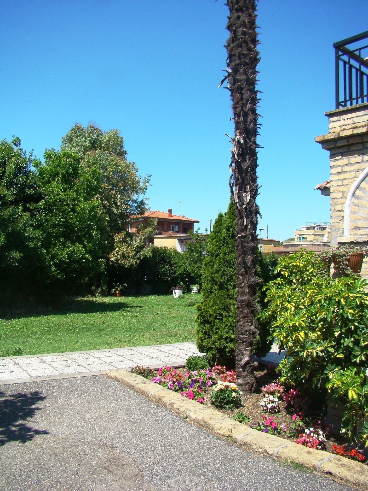 Una zona residencial con un césped cuidado, diversas plantas en flor y una palmera alta.
