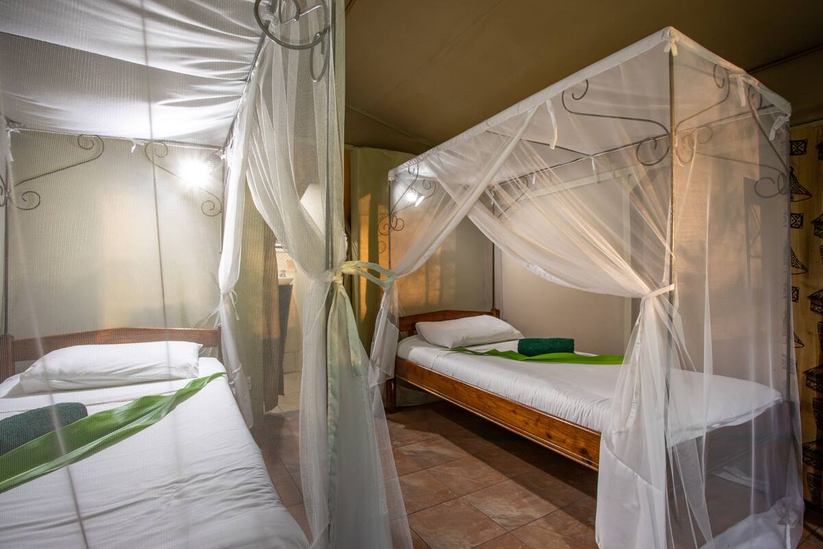 A room with two beds, each with a canopy.