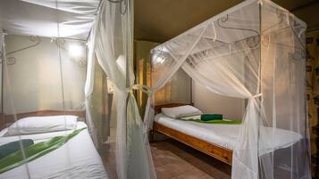 A room with two beds, each with a canopy.