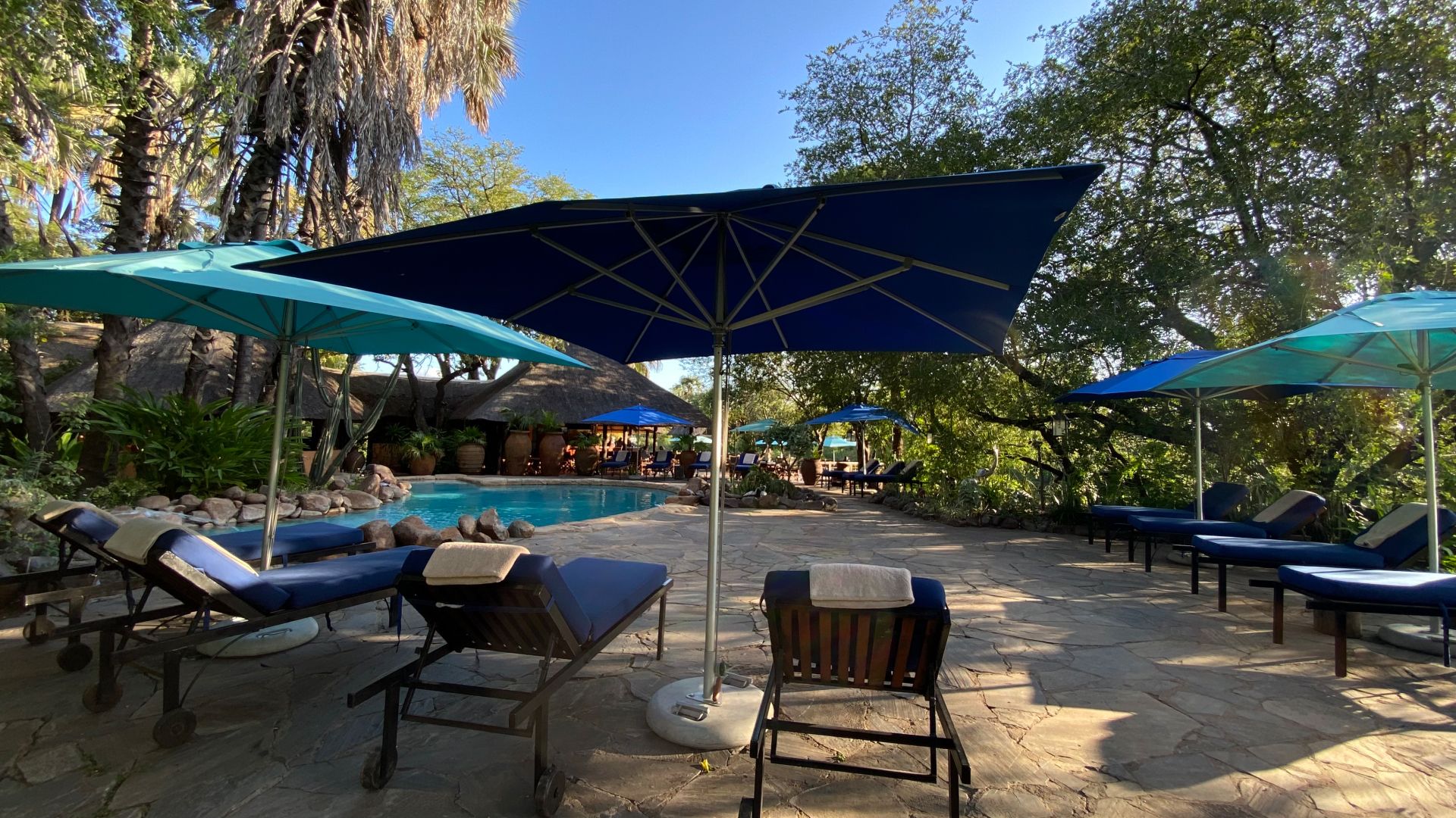 Ein Poolbereich mit Liegestühlen und Sonnenschirmen, umgeben von Bäumen und blauem Himmel.