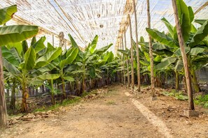 Property grounds - Riad Elaissi (Ahmar Laglalcha)