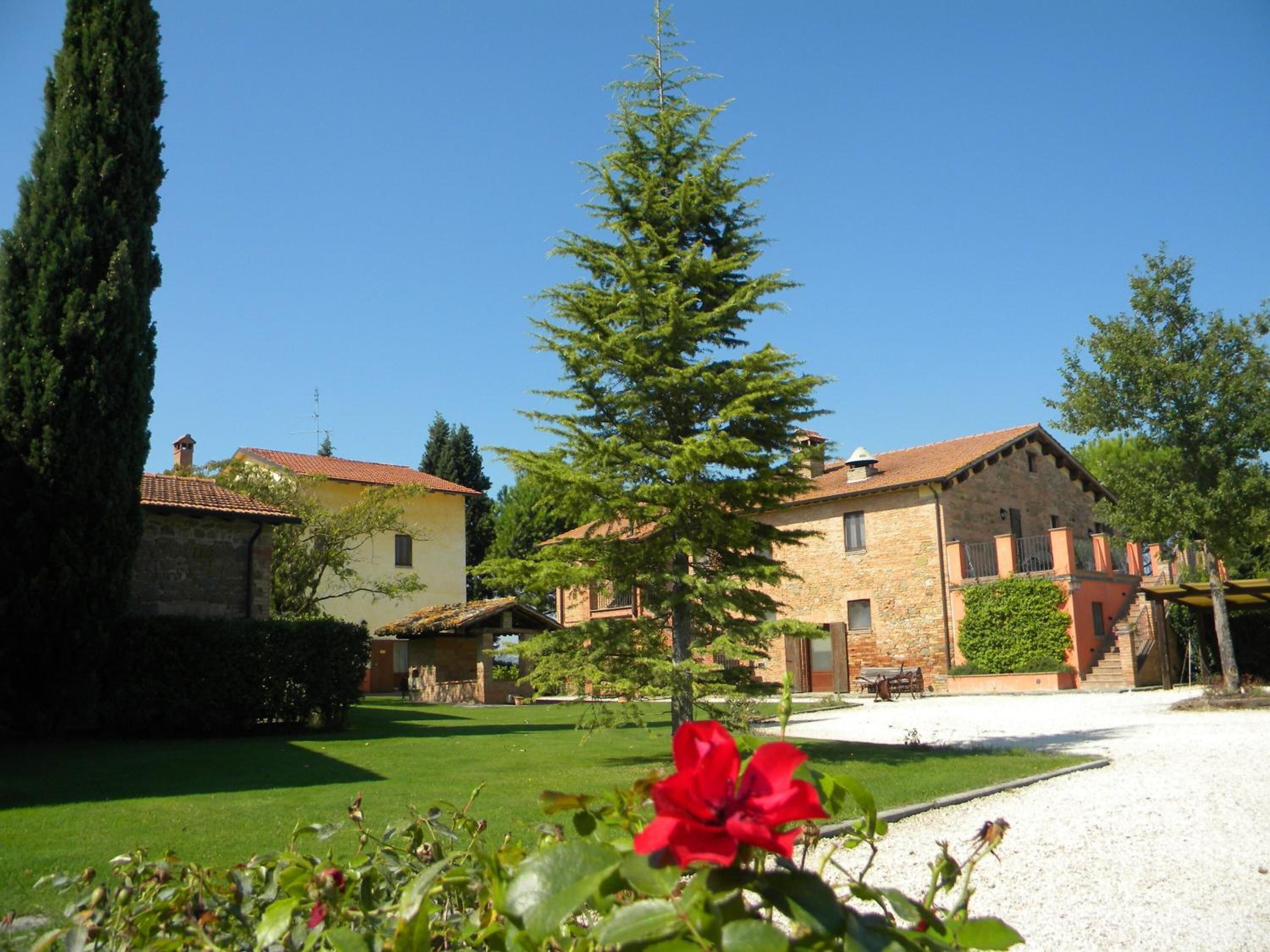 A courtyard with stone buildings, a tall evergreen tree, and a red flower in the foreground.