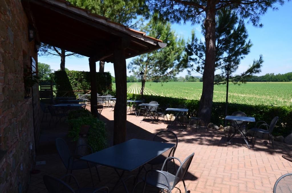 Un área de patio al aire libre con mesas y sillas, rodeada de árboles y vistas a un campo.