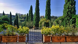 Une entrée fermée par un portail, bordée de cyprès majestueux et agrémentée de plantes en pot au premier plan.
