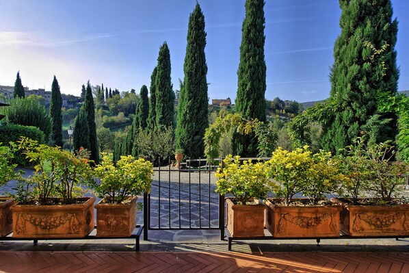 A gated entrance with tall cypress trees and potted plants in the foreground.