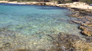 A beach with clear water, rocky shore, and a building with a thatched roof. - A Locanda Tù Marchese (Matino)