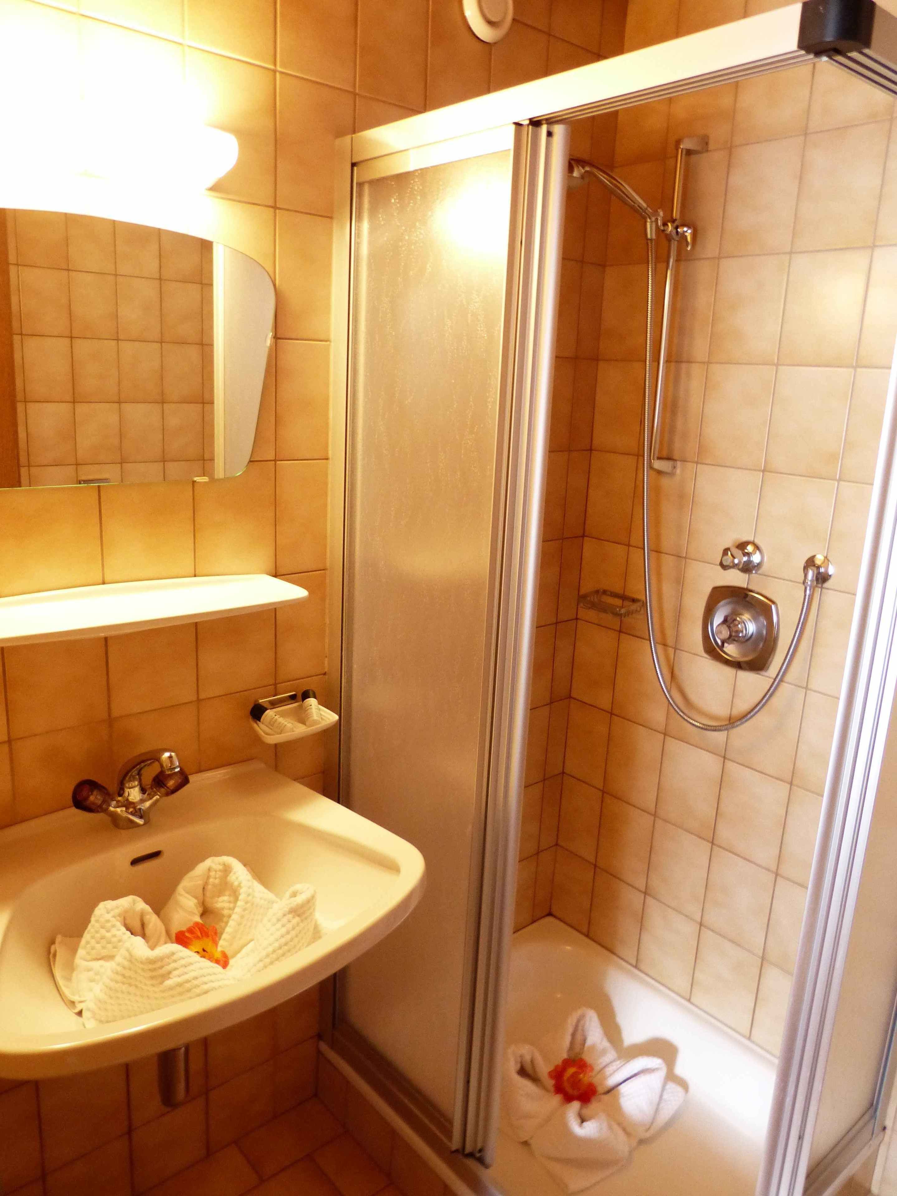standard double room, mountain view | bathroom | shower, free toiletries, hair dryer, towels